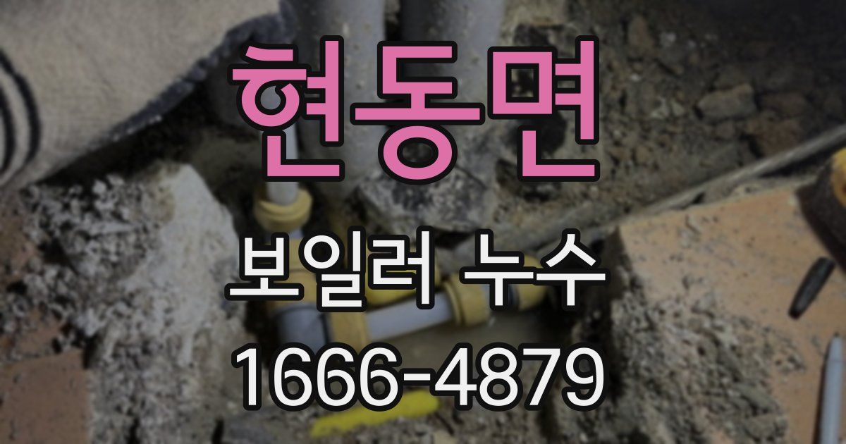 현동면 보일러 누수