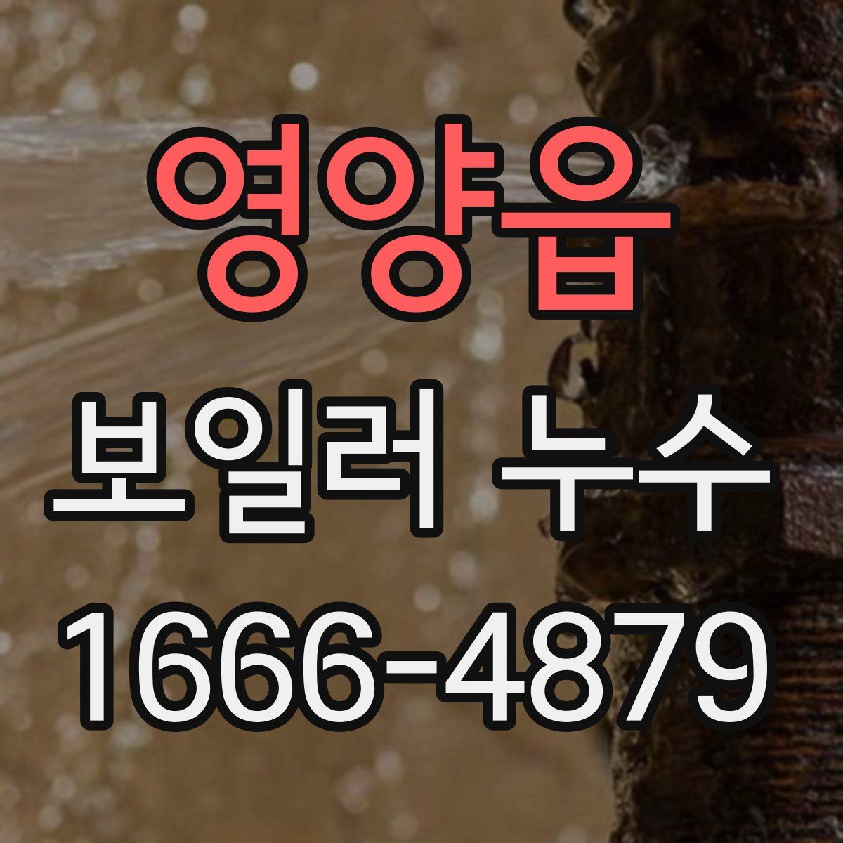 영양읍 보일러 누수