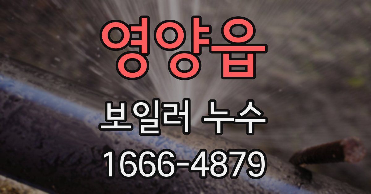 영양읍 보일러 누수