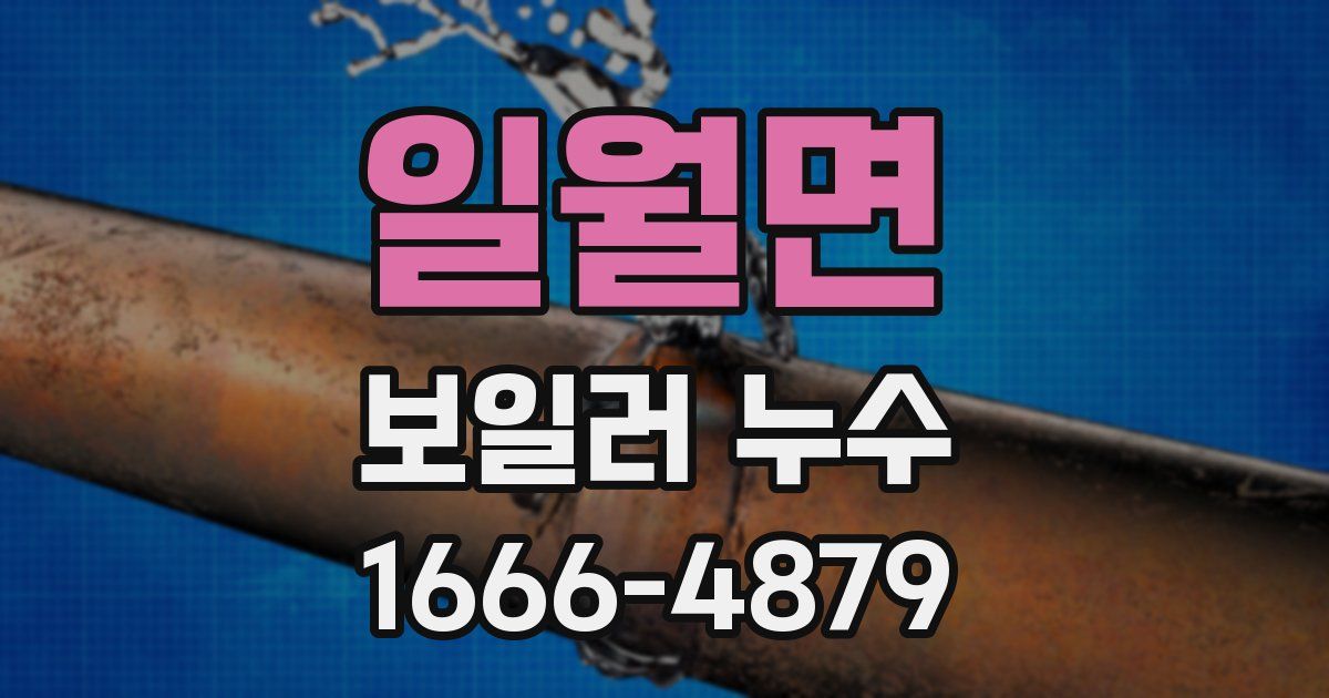 일월면 보일러 누수