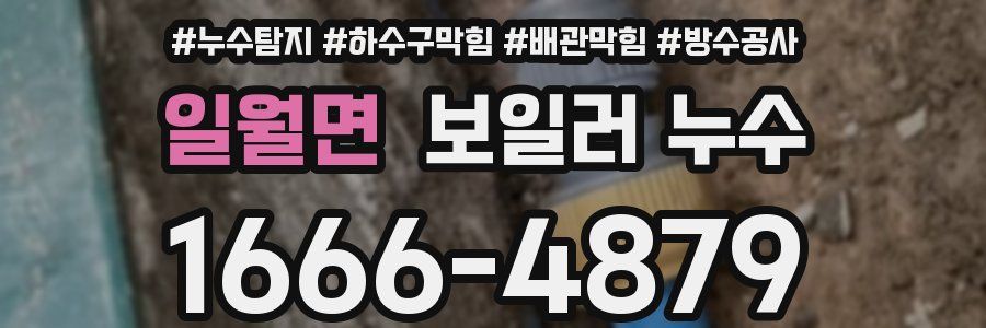 일월면 보일러 누수