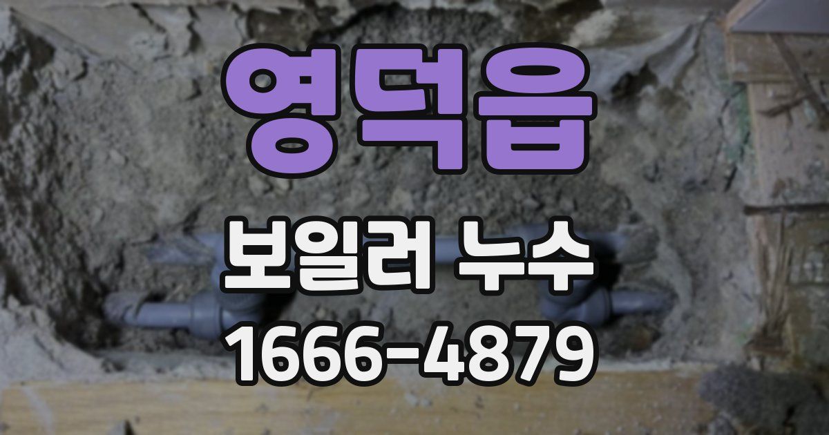 영덕읍 보일러 누수