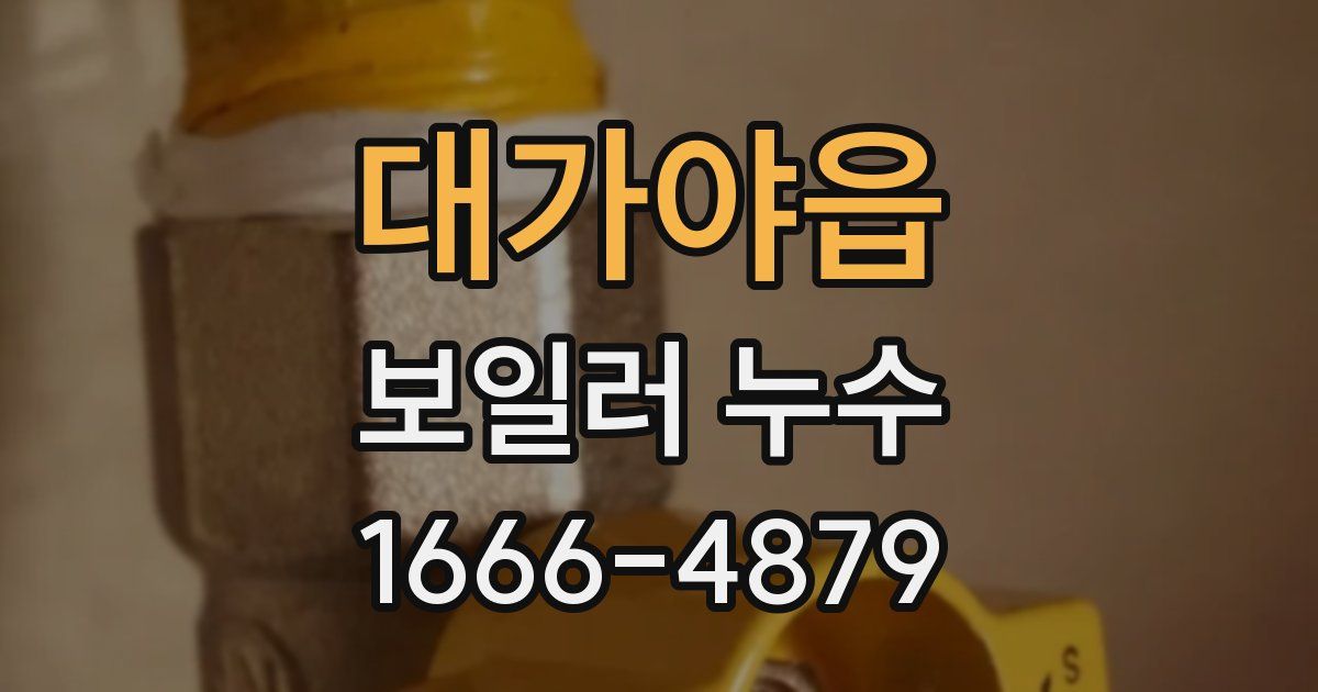 대가야읍 보일러 누수