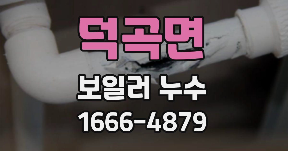 덕곡면 보일러 누수