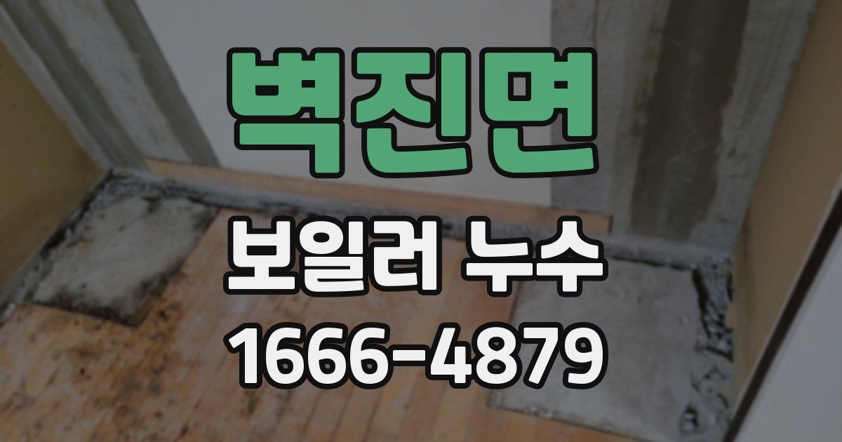 벽진면 보일러 누수