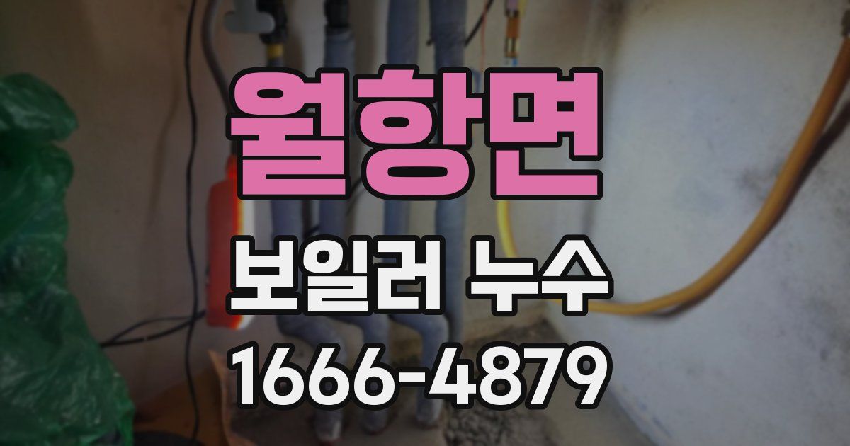 월항면 보일러 누수