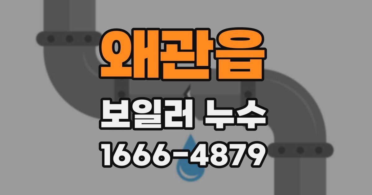 왜관읍 보일러 누수