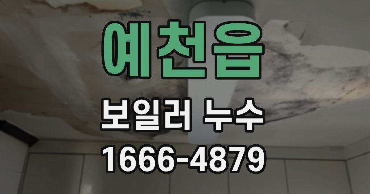 예천읍 보일러 누수