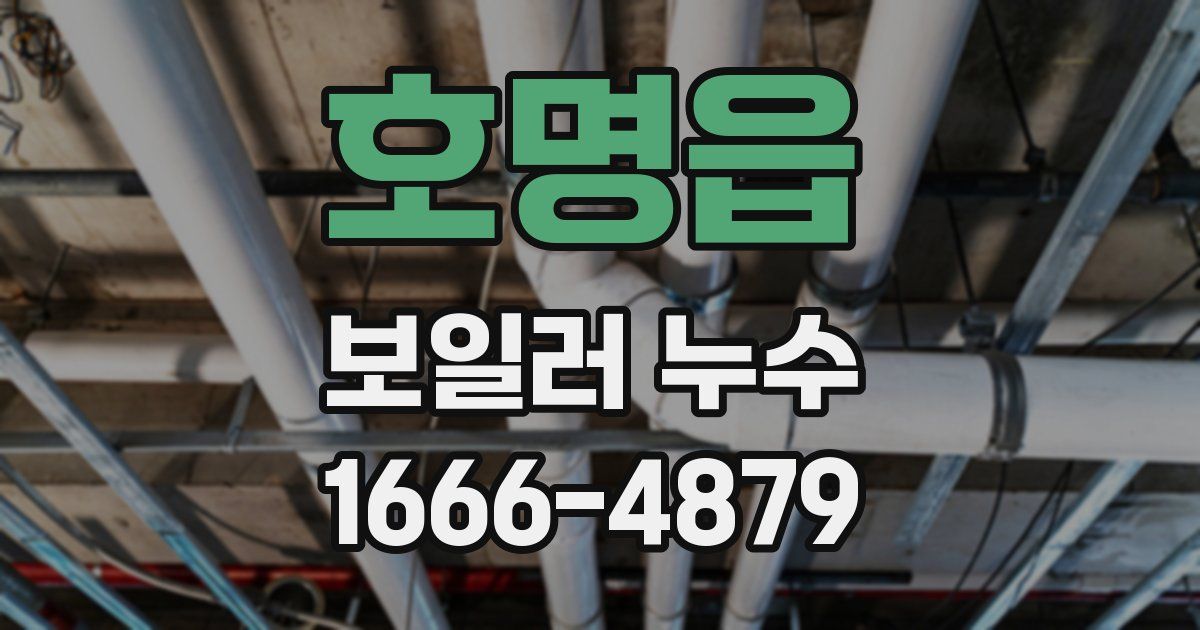 호명읍 보일러 누수
