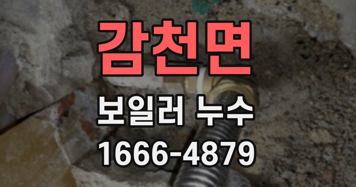 감천면 보일러 누수