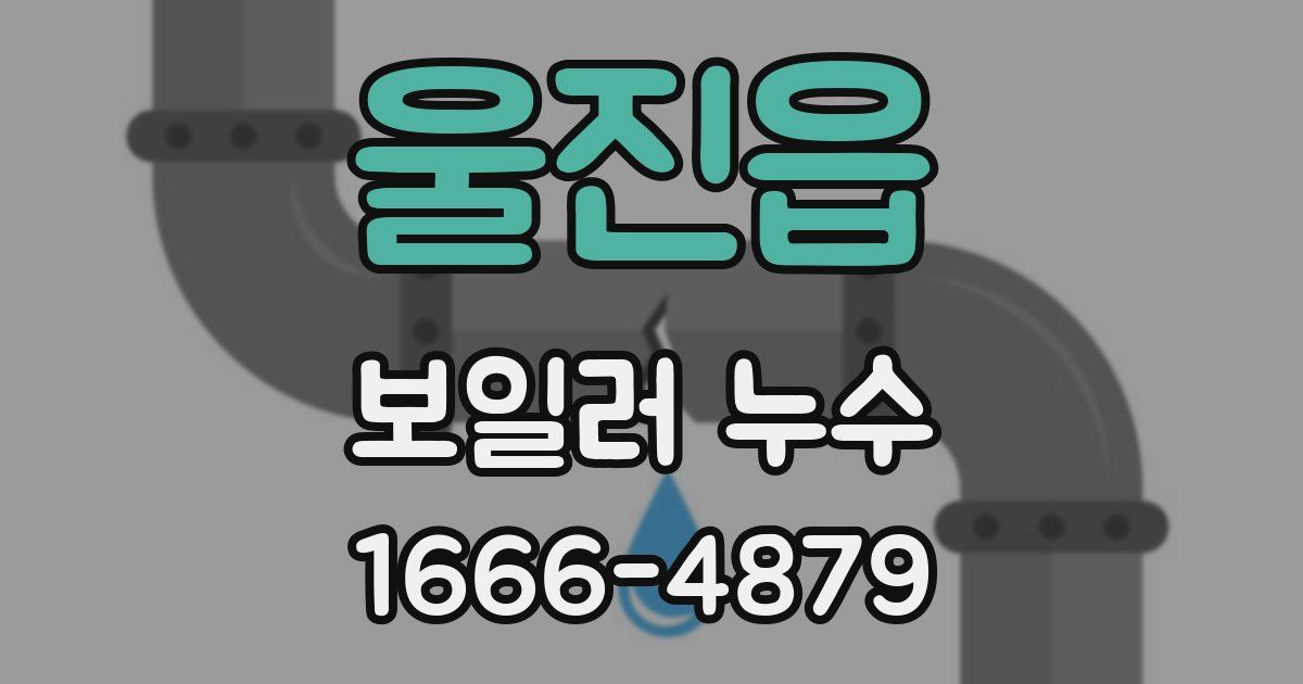 울진읍 보일러 누수