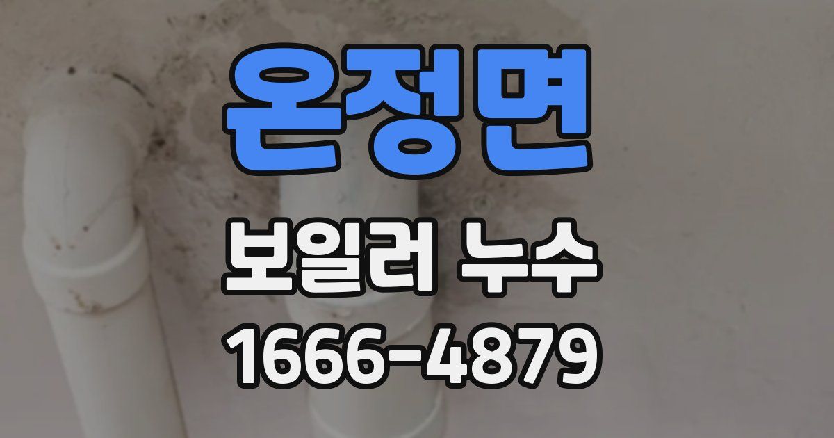 온정면 보일러 누수