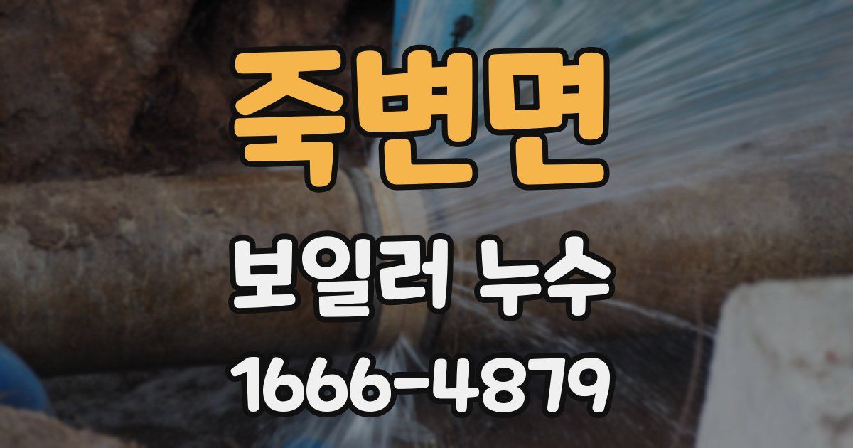 죽변면 보일러 누수