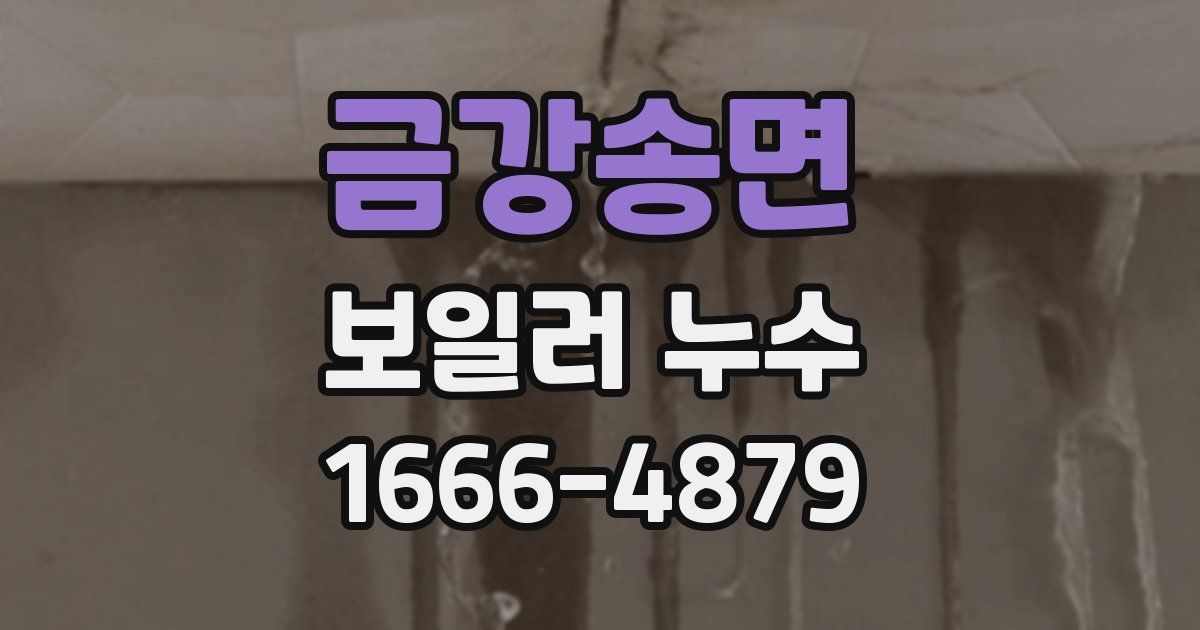 금강송면 보일러 누수