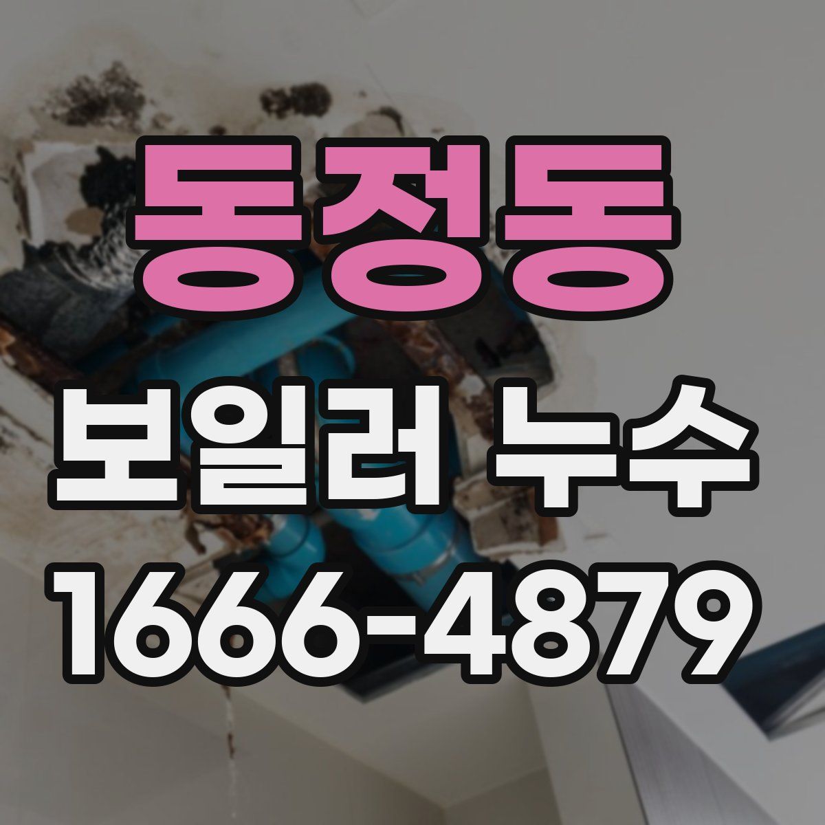 동정동 보일러 누수