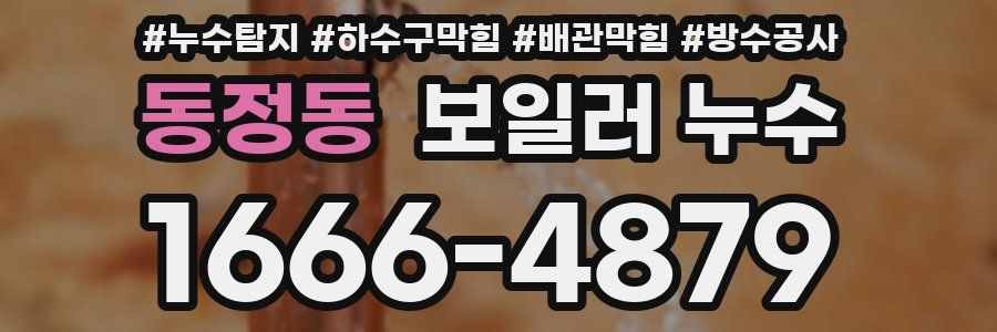 동정동 보일러 누수