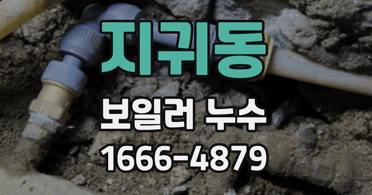 지귀동 보일러 누수