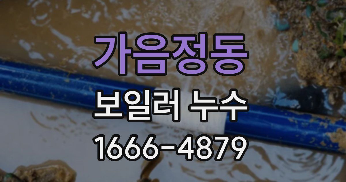 가음정동 보일러 누수