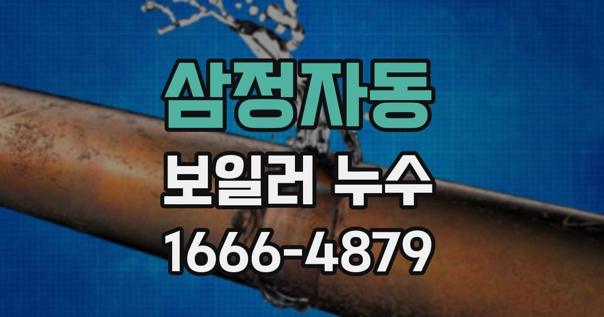 삼정자동 보일러 누수