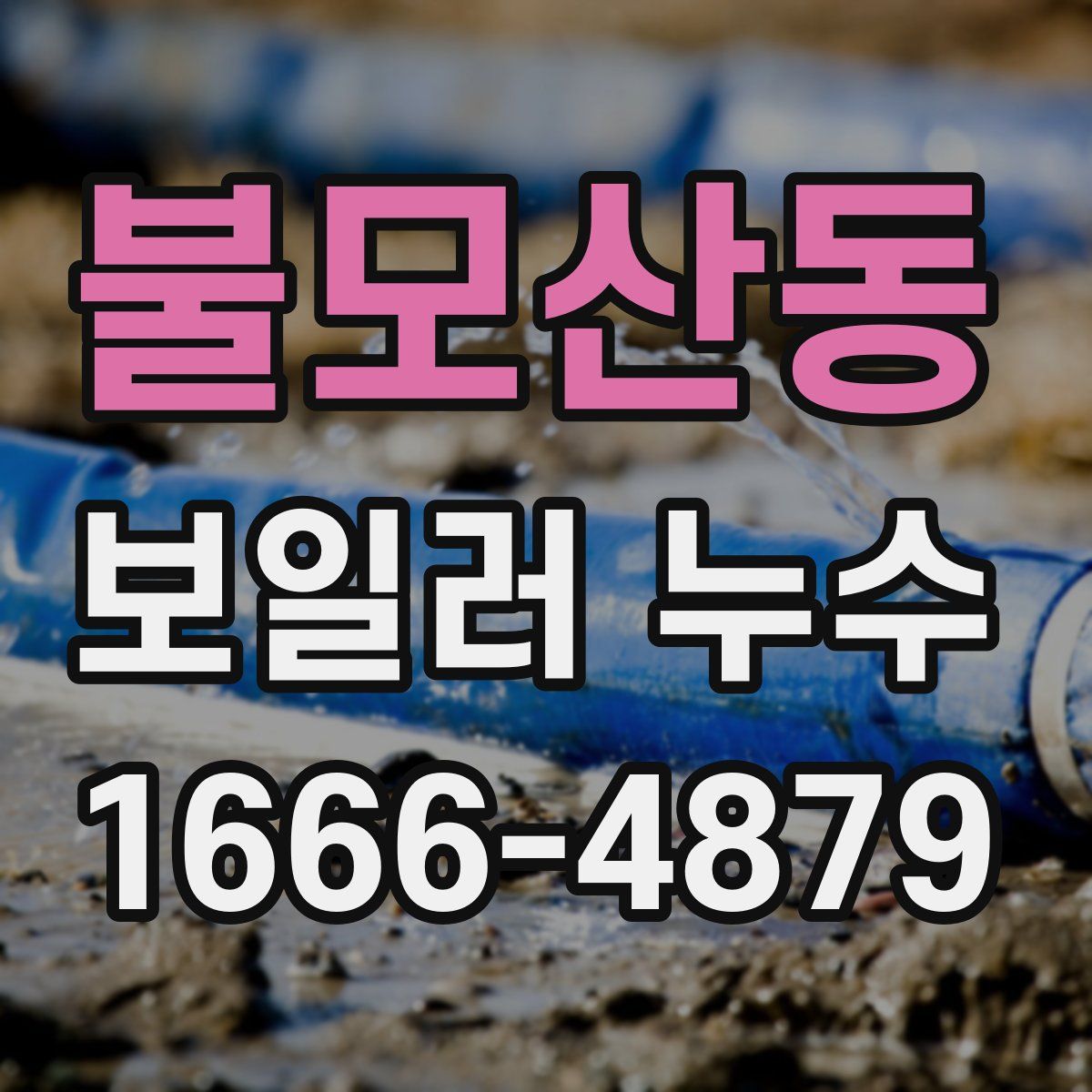 불모산동 보일러 누수