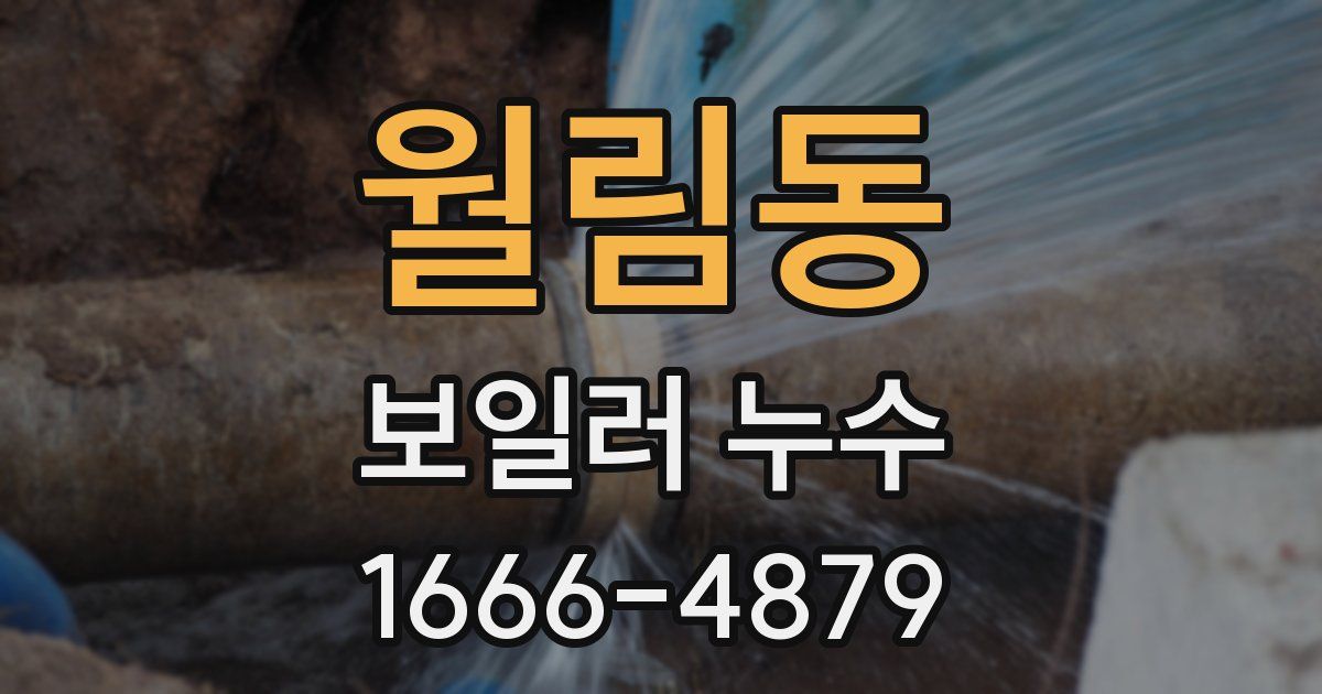 월림동 보일러 누수