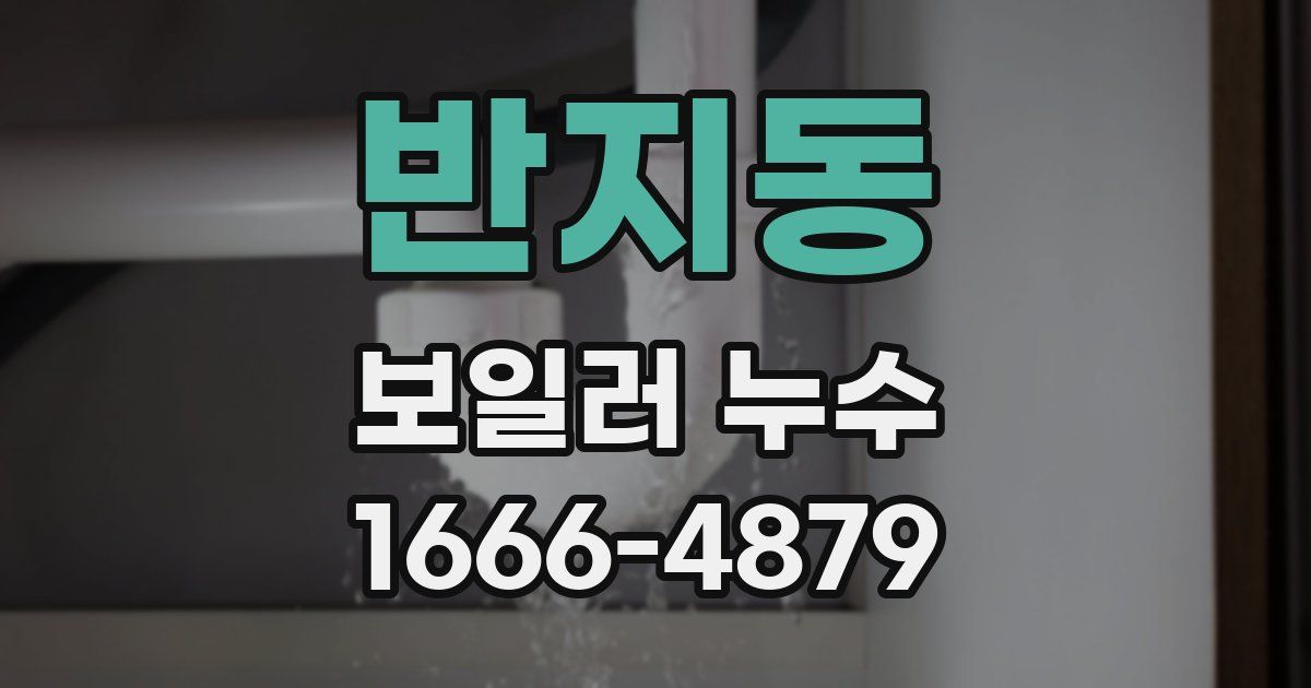 반지동 보일러 누수