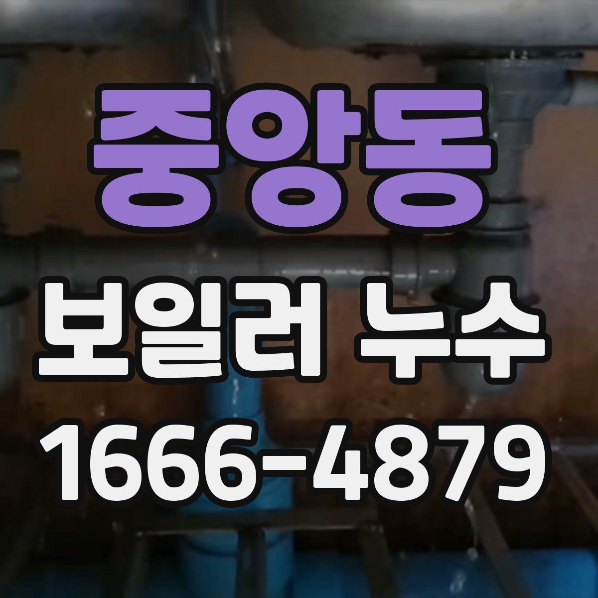 중앙동 보일러 누수