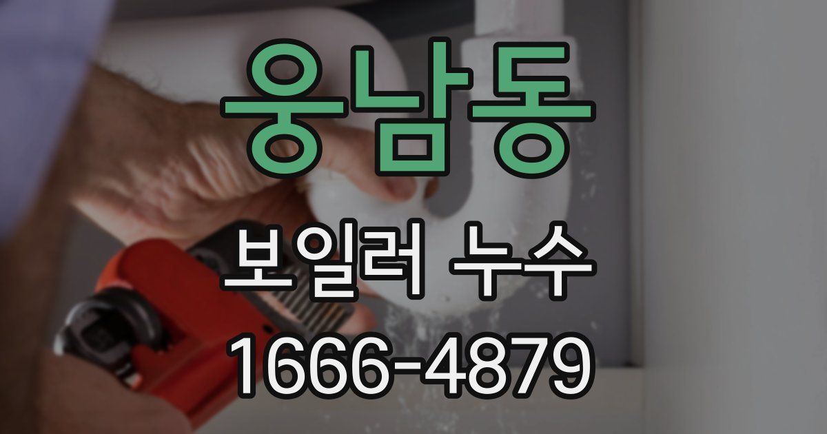 웅남동 보일러 누수