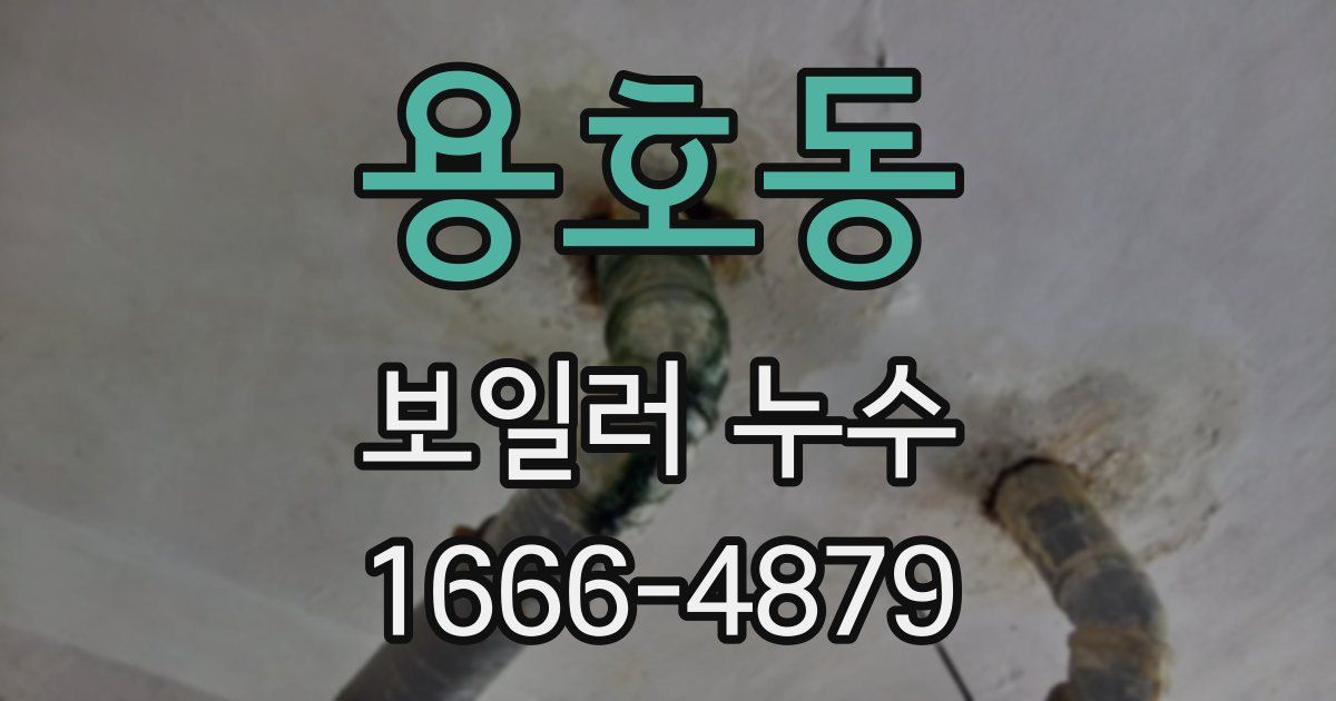 용호동 보일러 누수