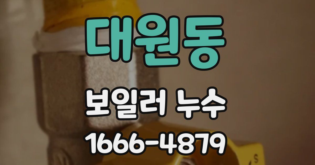 대원동 보일러 누수