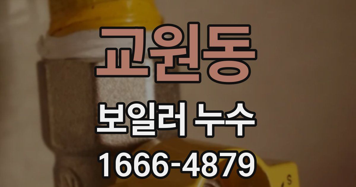 교원동 보일러 누수