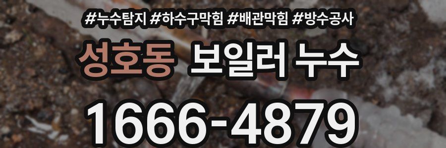 성호동 보일러 누수