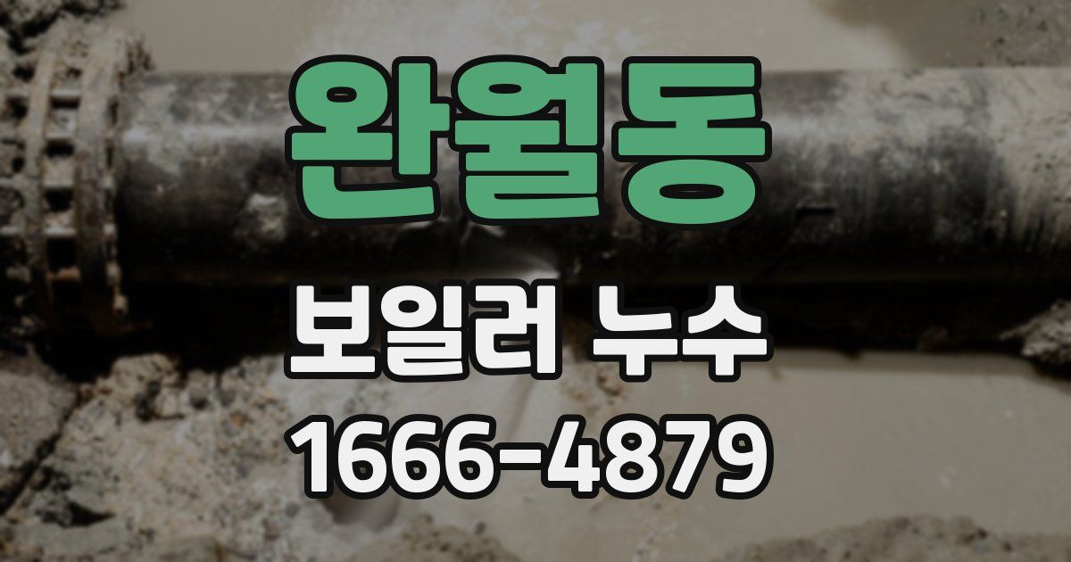 완월동 보일러 누수