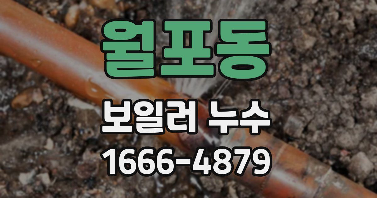 월포동 보일러 누수