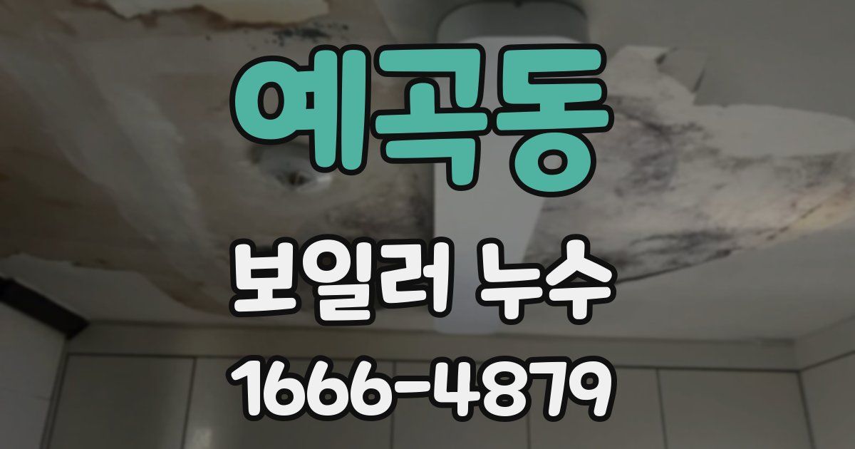예곡동 보일러 누수