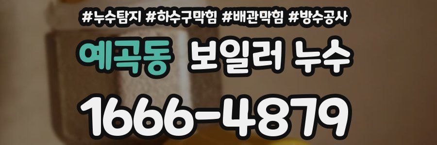 예곡동 보일러 누수