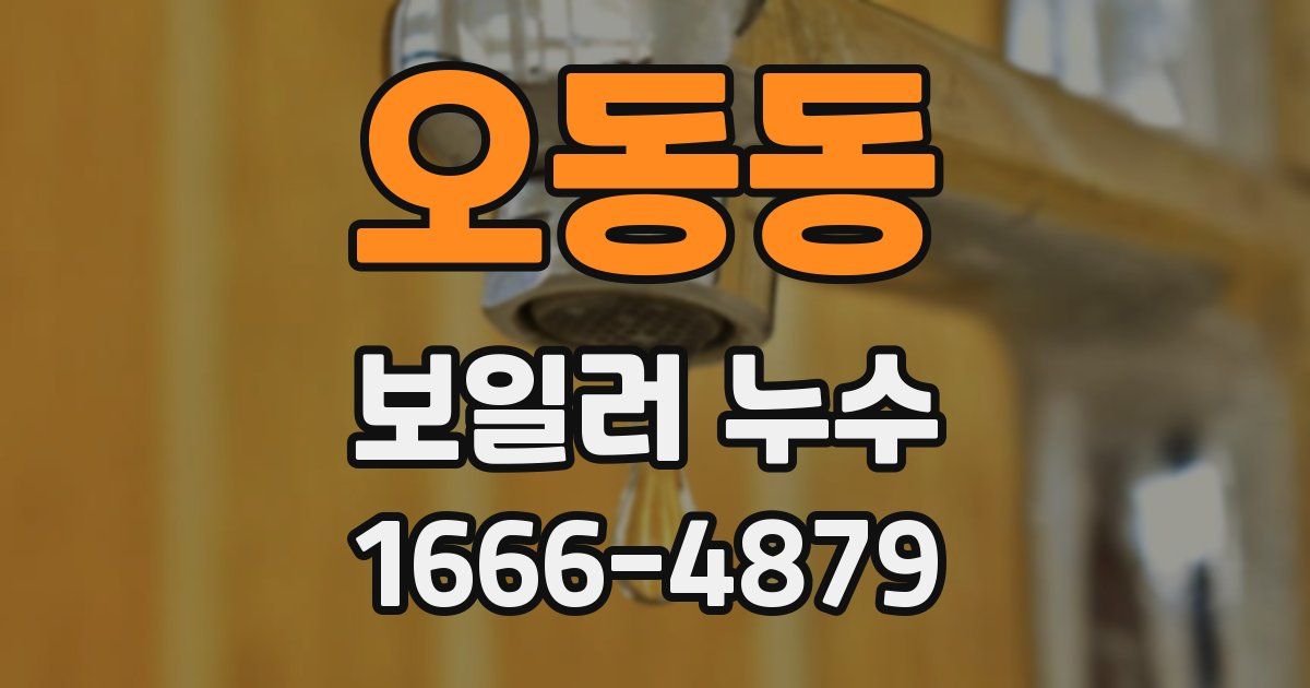 오동동 보일러 누수