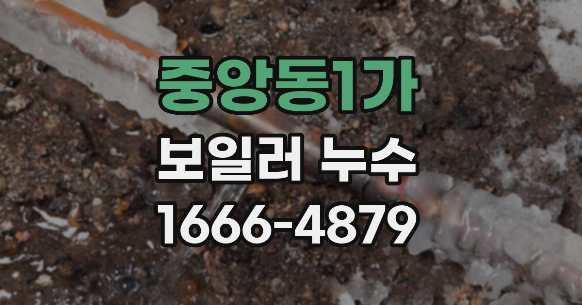 중앙동1가 보일러 누수