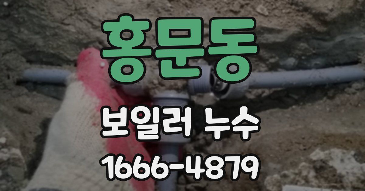홍문동 보일러 누수