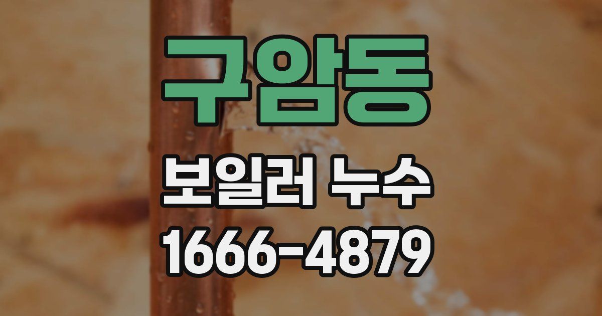 구암동 보일러 누수