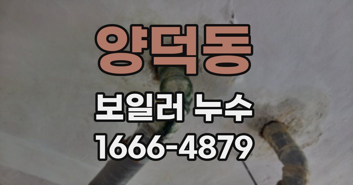 양덕동 보일러 누수