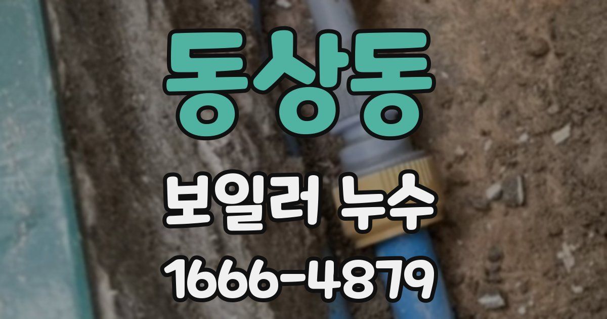 동상동 보일러 누수