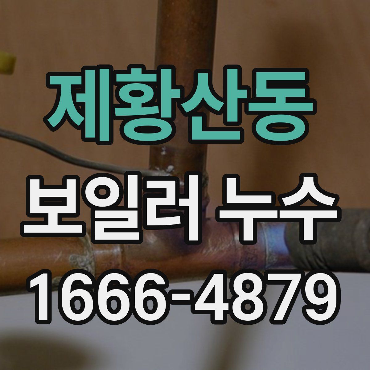 제황산동 보일러 누수