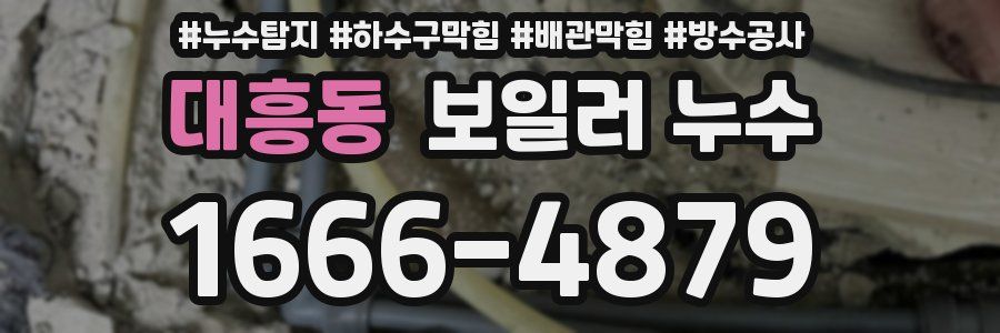대흥동 보일러 누수