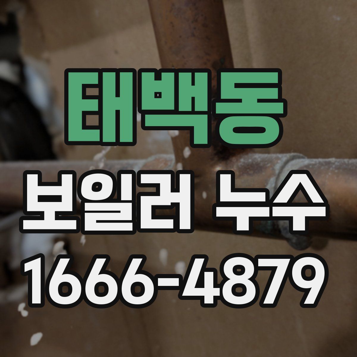 태백동 보일러 누수