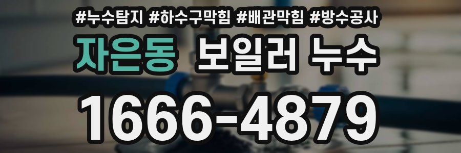 자은동 보일러 누수