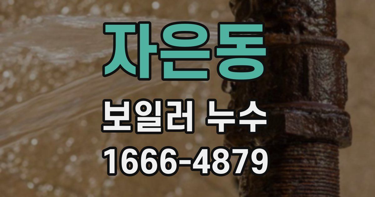 자은동 보일러 누수