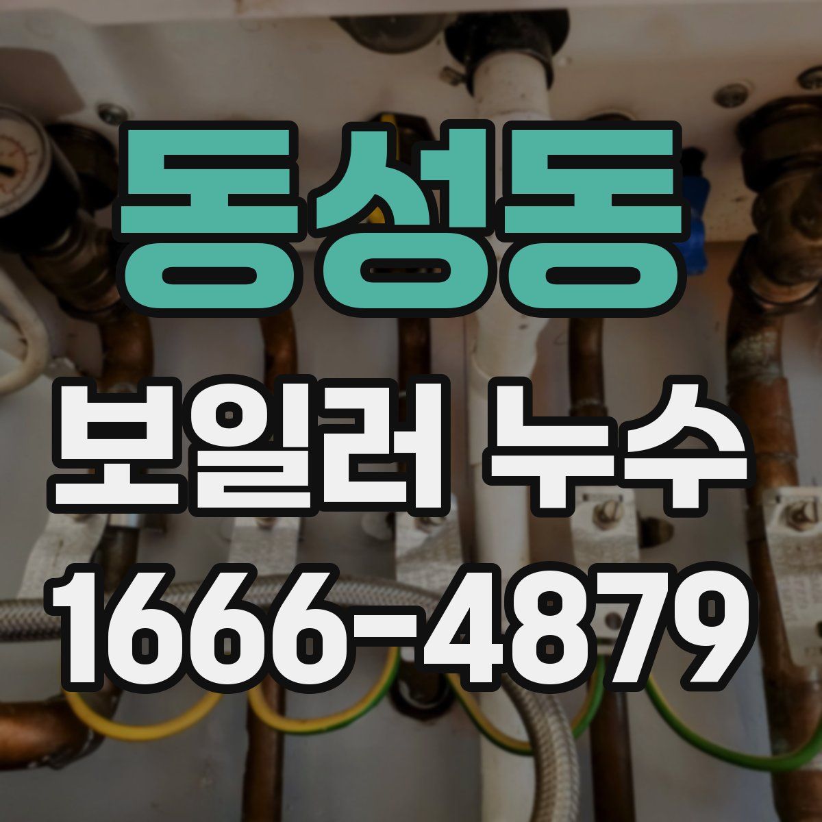 동성동 보일러 누수