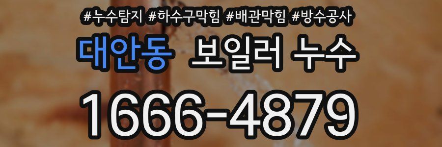 대안동 보일러 누수
