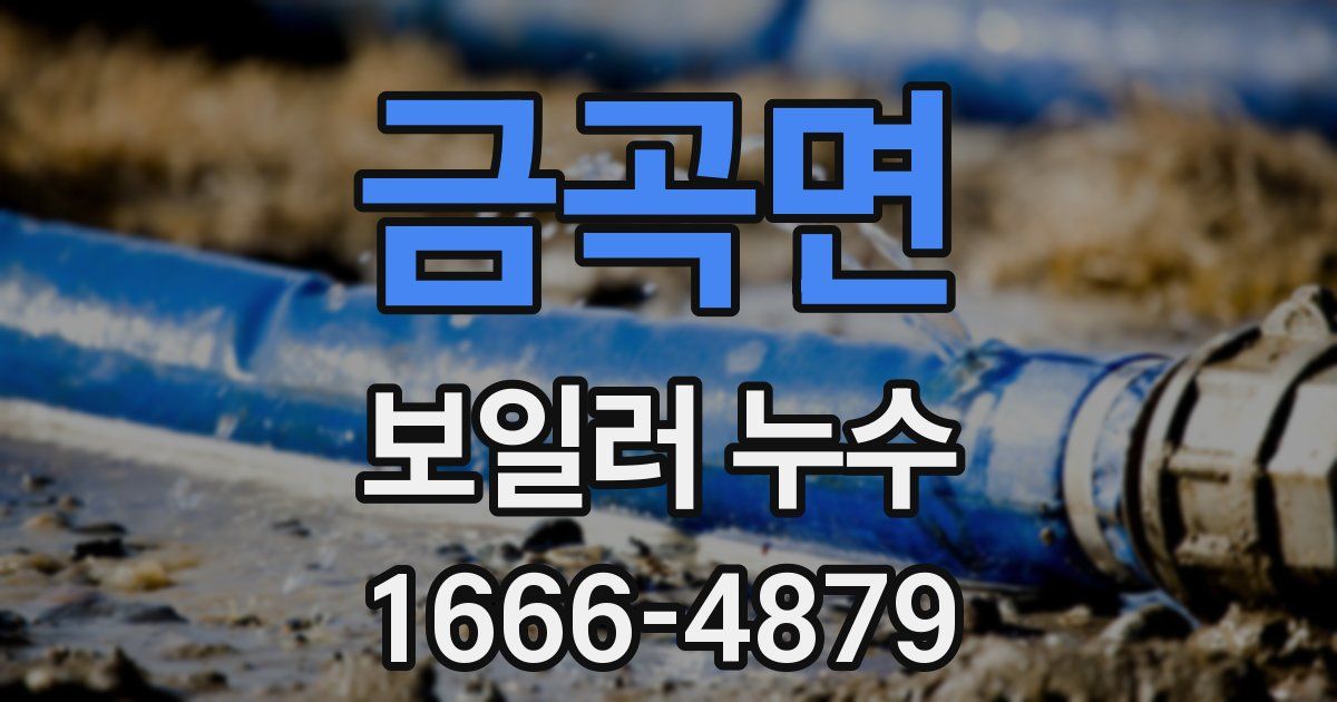 금곡면 보일러 누수